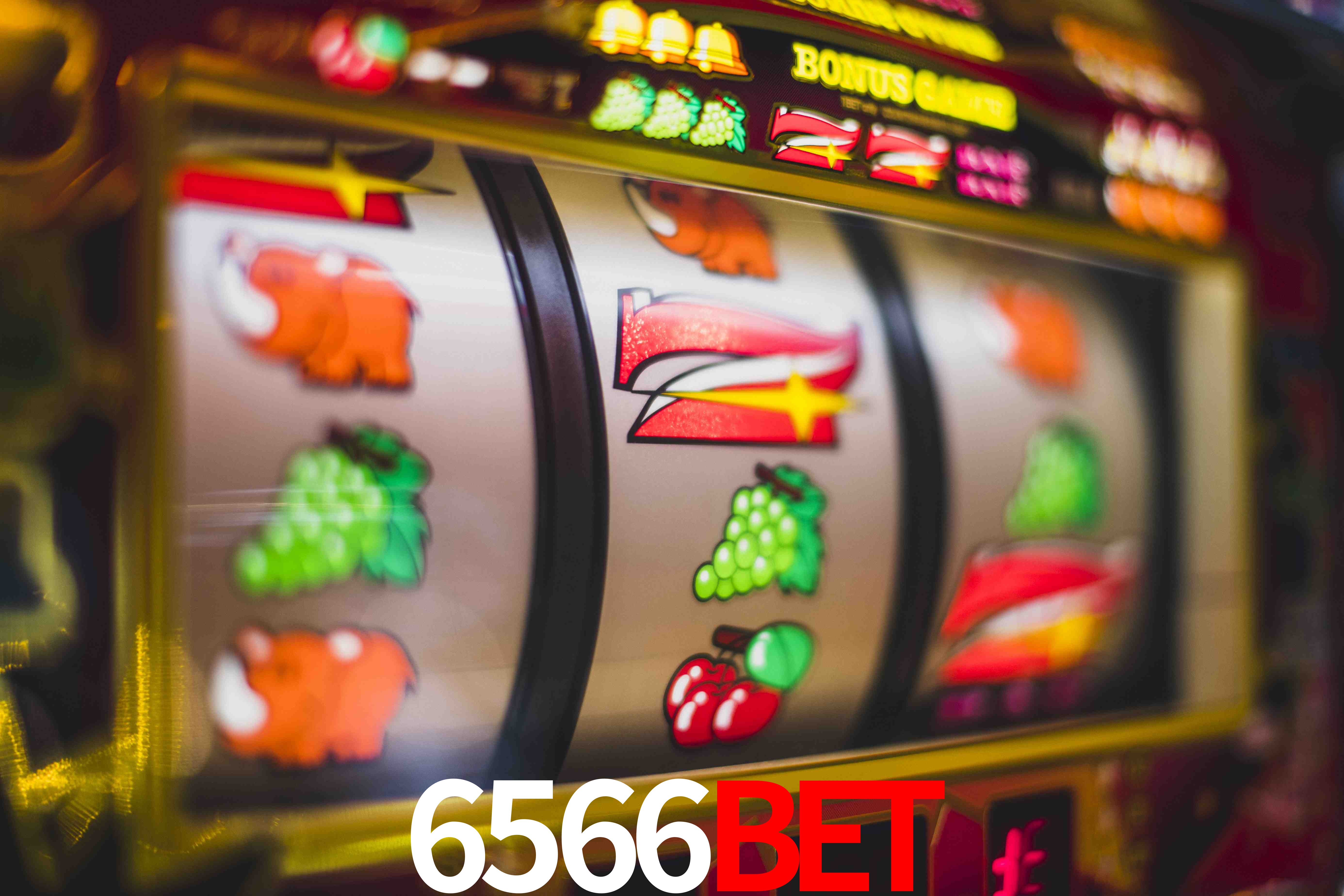 Statistics 6566Bet